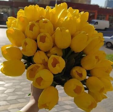 gullerin satisi: Selekon tülpanlar
Tebiiden seçilmir
Ededle satılır — 1