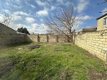 absheron: 3 sot, Tikinti, Maklerlər narahat etməsin, Kupça (Çıxarış) — 5