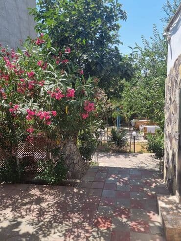 arenda kafelər: Yeni Günəşli V massivində yol kənarı,sahəsi 300kv/m olan,(10 sot — 10