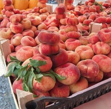 green pharma baku: Məhsul: Şəxsi tingçilik təsərrüfatında yetişdirilən meyvə tingləri — 13