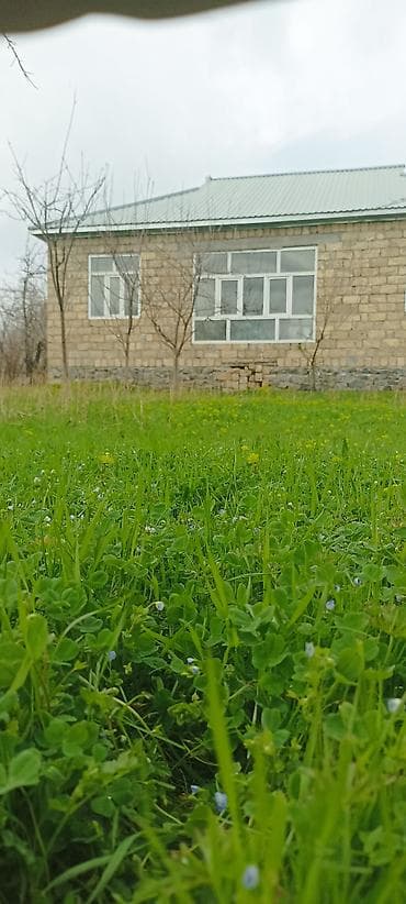 yeni suraxanıda: Qəbələ, 100 kv. m, 5 otaqlı, Hovuzsuz, İnternet — 1