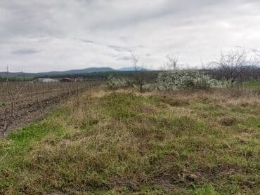 xacmaz rayonu qusarcay kendi: Kənd təsərrüfatı — 5