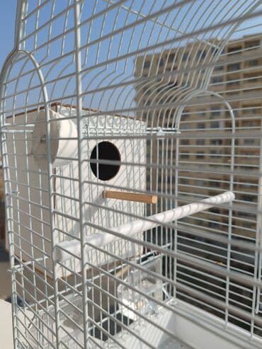 çardaq quşun yuvası: Qəfəs – quşlar üçün tam dəst - Material: möhkəm metal tor, alt — 2