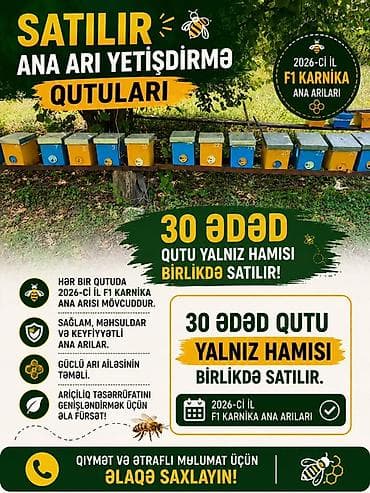 Ana arı yetişdirmə qutuları – 30 ədəd, yalnız hamısı birlikdə satılır