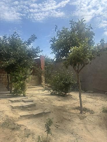 gencede torpaq satilir: 3 otaqlı, 2 kv. m, Kredit yoxdur, Orta təmir — 2