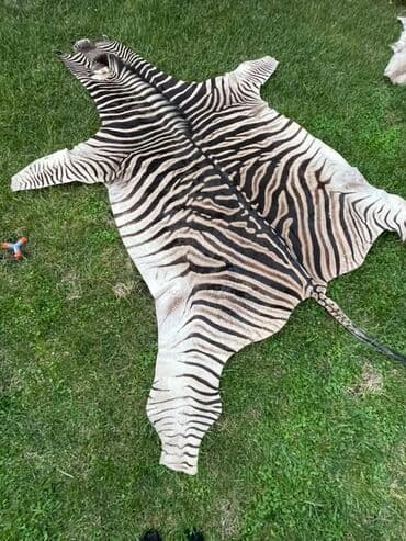 oval xalca: Xalça Dekorativ, Kredit yoxdur — 3