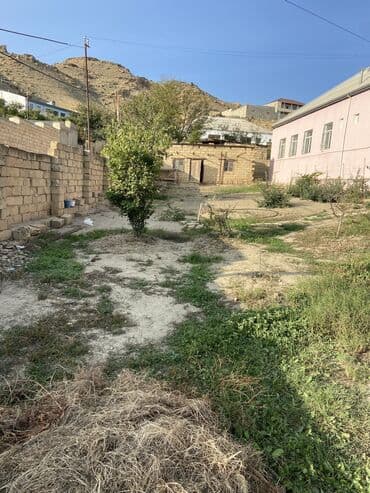 участок кызыл кия: 4 sot, Tikinti — 4