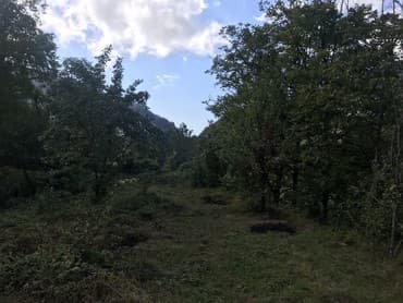 bakıxanov razin: 6 sot, Tikinti, Mülkiyyətçi, Kupça (Çıxarış) — 7