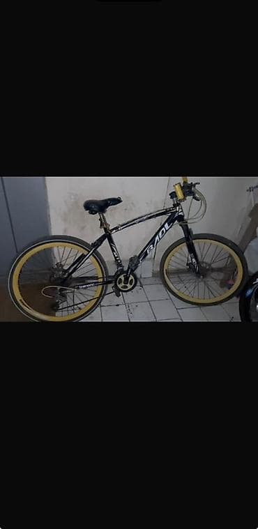 velosiped 26 type 1: İşlənmiş Şəhər velosipedi 24", Ünvandan götürmə — 1