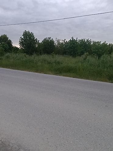 ev torpaq: 35 sot, Kənd təsərrüfatı, Maklerlər narahat etməsin, Kupça (Çıxarış) — 8