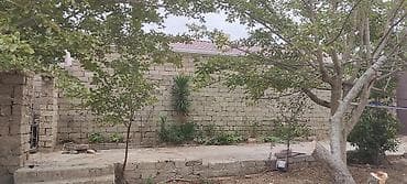 Torpaq: 8 sot, Tikinti, Kupça (Çıxarış) — 2