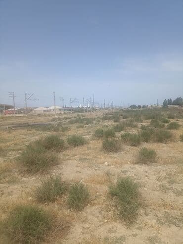 Çaydanlar: 6 sot, Barter mümkündür — 1