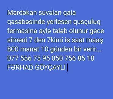 dayə isi: Dayə tələb olunur, Gecə növbəsində iş — 1