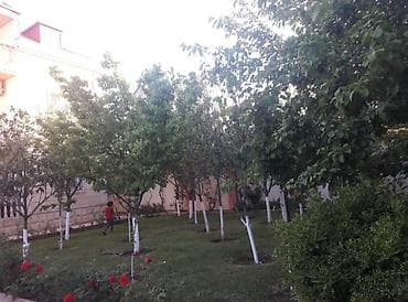 tap.az kıraye ev gence: 220 kv. m, 6 otaqlı, Kanalizasiya, Kombi, Qaz — 3