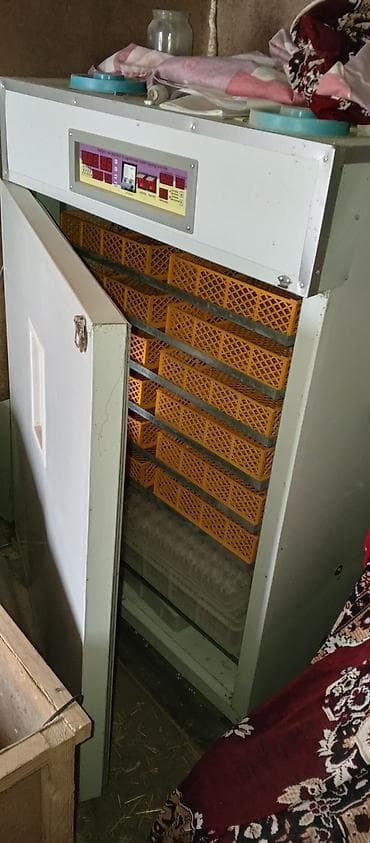 Avadanlığın icarəsi: Tam avtomat — 2