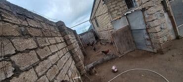 продажа дачных участков в баку: Баку, 100 м², 4 комнаты, Без бассейна, Газ, Электричество, Водопровод — 17