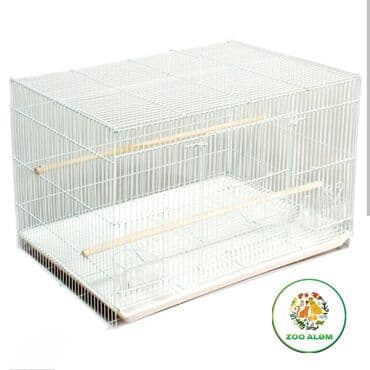 большая клетка для попугая: Tutuquşu qəfəsi. Qəfəs valyer (arakəsməsiz) Qəfəsin ölçüsü 60sm eni — 6