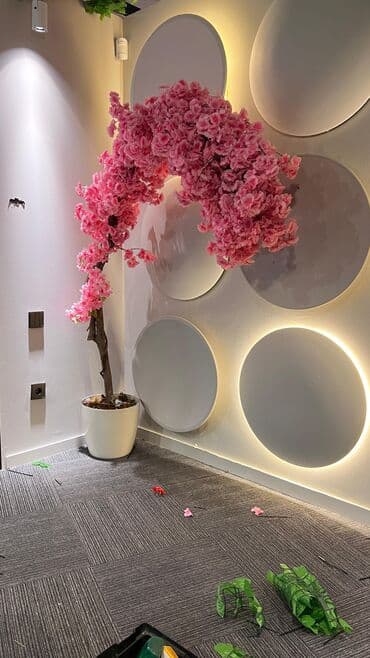 dekarativ guller: 🌸 İstədiyiniz dibçəyi, istədiyiniz ölçüdə yığırıq! 🏡 Evlər, ofislər — 27