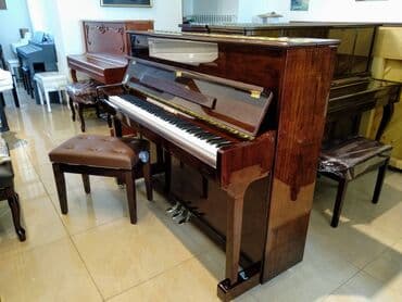 klarnet satışı: Piano, Kingsburg, Akustik, Yeni, Pulsuz çatdırılma — 1
