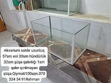 bakida it barinagi: Dördbucaq akvarium, Boş, 55 l — 1