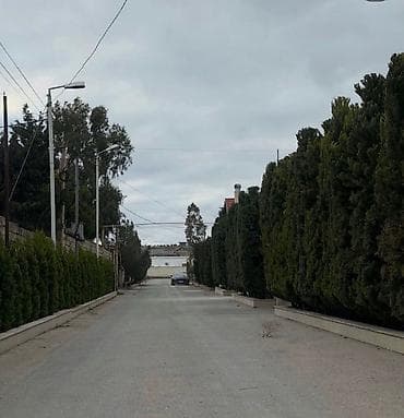 şuvalan: 6 sot, Kupça (Çıxarış) — 4