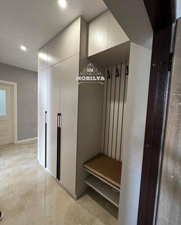 isti aqlay fasad: Yeni, Açılan, Düz dolab, Dəhliz dolabı, Azərbaycan — 5