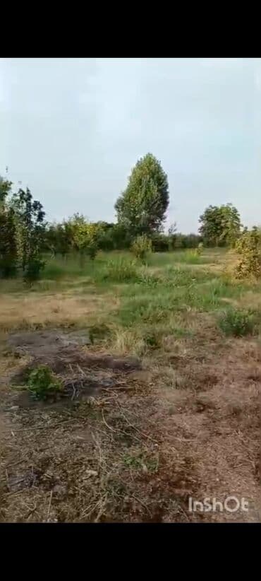 ovcu mağazası unvan: 18 sot, Biznes üçün, Mülkiyyətçi, Kupça (Çıxarış), Texniki pasport — 1