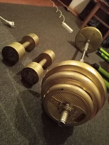 QAZ: Ştanq diski, Çəki: 40 kq, Yeni — 6