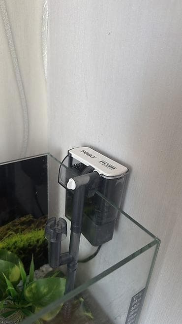 heyvanlar: Dördbucaq akvarium, Boş, 25 l — 2