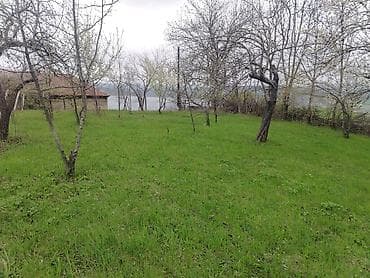 ev alqi satqisi ve kirayesi baki: Kənd təsərrüfatı — 5