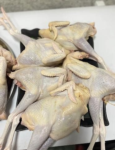 Məhsullar: - Qubadan gətirilən kənd yumurtası - Tam təbii - Vitamin — 5