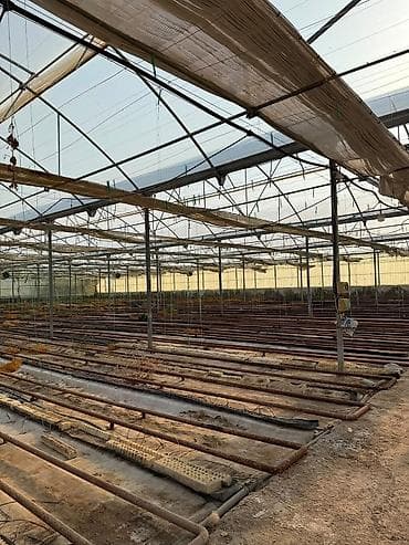 bal satışı: Salyan rayonu, Qaraçala qəsəbəsində 1 hektar xüsusi mülkiyyətə aid — 3