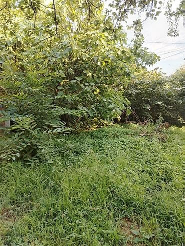 mingecevir ev elanlari: 3 sot, Tikinti, Mülkiyyətçi — 4