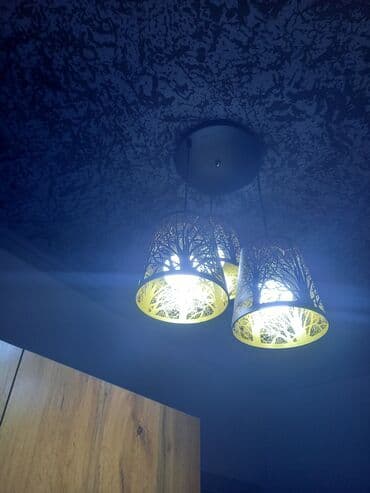 yevlaxda iş: 200 kv. m, 7 otaqlı, Kombi, Qaz, İşıq — 11