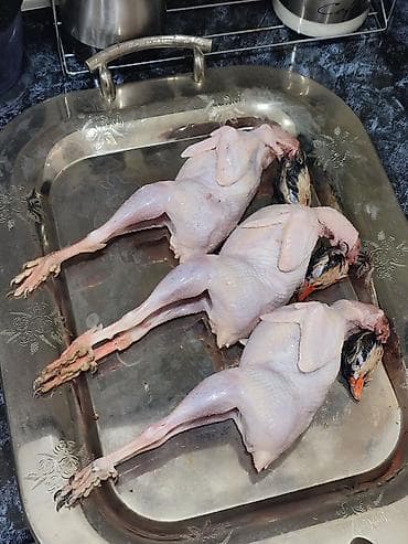 Məhsul: Təmizlənmiş kəklik