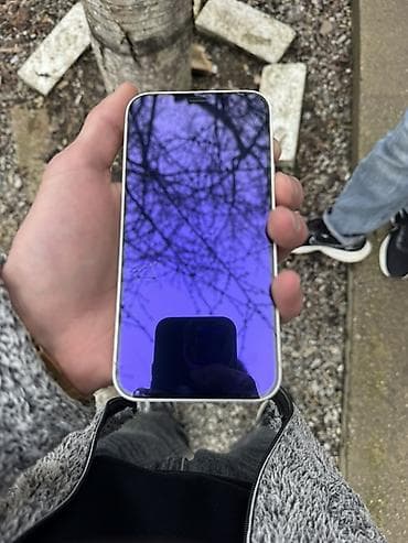 IPhone 12, Gümüşü, Face ID
