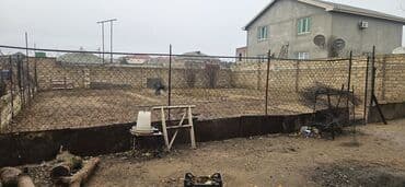 Alfa Romeo: 6 sot, Tikinti — 2