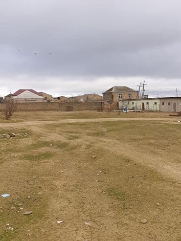 1 sot, Kənd təsərrüfatı, Maklerlər narahat etməsin, Kupça (Çıxarış)