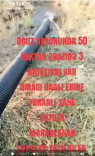 qismetin yeri: 5000 sot, Kənd təsərrüfatı, Mülkiyyətçi — 1