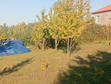 купить участок в бузовнах: 16 sot, Tikinti, Kupça (Çıxarış) — 3