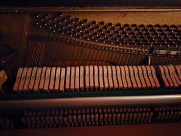 rönisch piano: Пианино, Rönisch, Акустический — 6