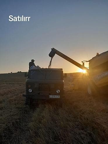 momo rul satilir: QAZ 66, 1992 il, motor 4.8 l, Bort — 6