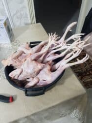 Коровы, быки: Məhsul: Təmizlənmiş çolpalar başsız, içalatı çıxarılmış), ayaqları ilə — 5