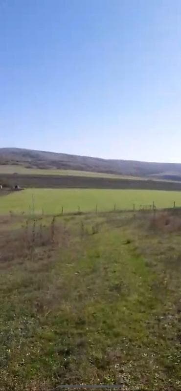 samaxi: 10 sot, Tikinti — 7