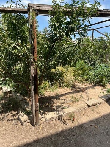 Torpaq sahələrinin satışı: 2 sot, Mülkiyyətçi
