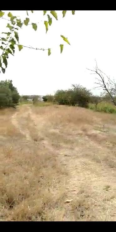 torpaqlarin satisi: 2 sot, Kənd təsərrüfatı, Makler, Kupça (Çıxarış) — 10