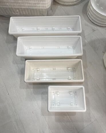 Otaq bitkiləri: Dibcek satisi 🌸 Dibçəklər 🌸 📏 30 sm 📏 50 sm 📏 60 sm 📏 70 sm 💵 — 3