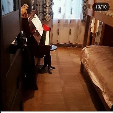 qubada baseynli kiraye evler: Bakı, 3 otaqlı, Köhnə tikili, 60 kv. m — 5