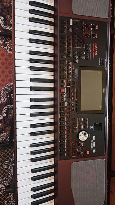 İdman və hobbi: Sintezator, Korg — 4