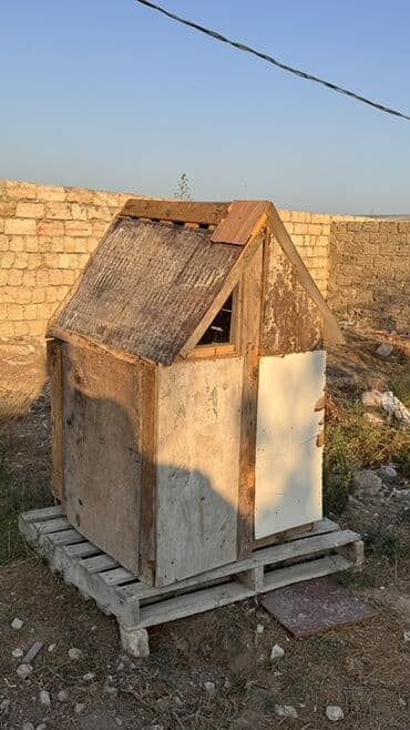 arı yuvası: Taxta və fanerdən hazırlanmış, dam örtüyü olan bu daxma kiçik — 1